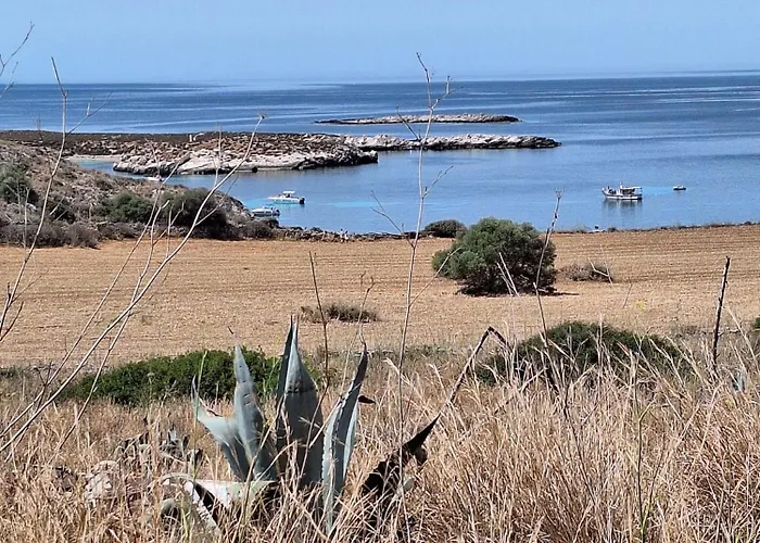 A Casuzza 法维尼亚纳